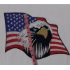 Screaming Eagle Head American Patriotic USA Flag Embroidered Patches 10Pcs Set