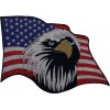 Screaming Eagle Head American Patriotic USA Flag Embroidered Patches 10Pcs Set