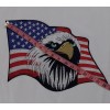 Screaming Eagle Head American Patriotic USA Flag Embroidered Patches 10Pcs Set