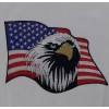 Screaming Eagle Head American Patriotic USA Flag Embroidered Patches 10Pcs Set