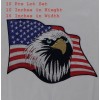 Screaming Eagle Head American Patriotic USA Flag Embroidered Patches 10Pcs Set