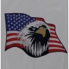 Screaming Eagle Head American Patriotic USA Flag Embroidered Patches 10Pcs Set